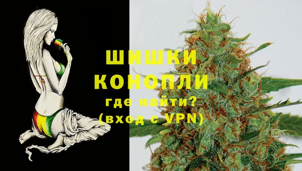 mdma Новодвинск