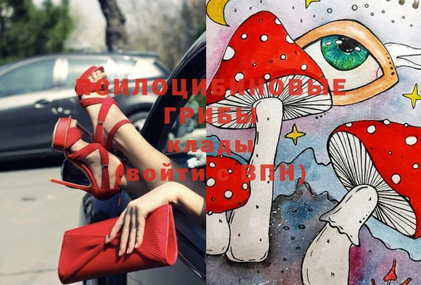 бошки Новокубанск