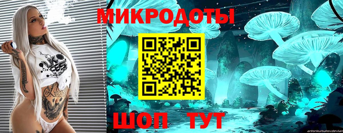 Бийск  Псилоцибиновые грибы GOLDEN TEACHER  Псилоцибиновые грибы Cubensis  Вход с VPN 