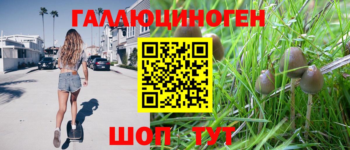 Галлюциногенные грибы Cubensis Бийск