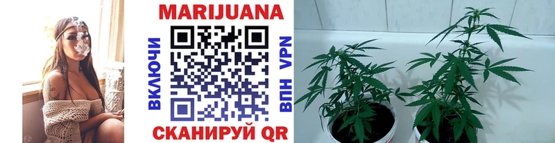 Шишки марихуана конопля Бийск